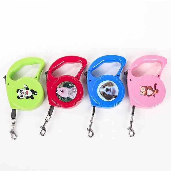 reflective dog rope automatic extension traction rope strong nylon pet dog and training puppy suitable for small and medium1
reflective dog rope automatic extension traction rope strong nylon pet dog and training puppy suitable for small and medium1