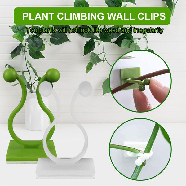 freight yegbong oem odm green radish climbing wall fixer self-adhesive hook vine plant wall climbing fixed indoor nail frame seamless artifa
freight yegbong oem odm green radish climbing wall fixer self-adhesive hook vine plant wall climbing fixed indoor nail frame seamless artifa