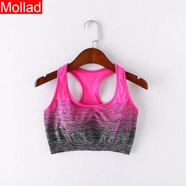 fashionable summer new gradual change stripe enlarges the waistcoat without steel ring underwear1, Black;white
fashionable summer new gradual change stripe enlarges the waistcoat without steel ring underwear1, Black;white