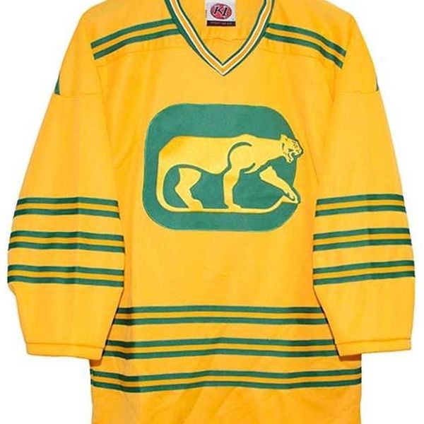 real white men real full embroidery vintage chicago cougars home hockey jersey 100% embroidery jersey or custom any name or number jersey, Black
real white men real full embroidery vintage chicago cougars home hockey jersey 100% embroidery jersey or custom any name or number jersey, Black