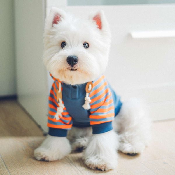 is pet autumn teddy bear chenery small dog fadou cotton winter clothing
is pet autumn teddy bear chenery small dog fadou cotton winter clothing