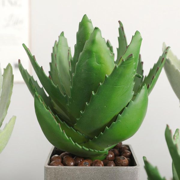 decorative flowers & wreaths 30cm simulated artificial bonsai succulent fake greenery plant home decorations office shops el garden decors1
decorative flowers & wreaths 30cm simulated artificial bonsai succulent fake greenery plant home decorations office shops el garden decors1