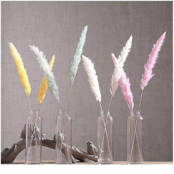 7pcs bulrush natural dried small pampas grass phragmites christmas home decor diy dried real flowers bouquet flower arr jllcyu
7pcs bulrush natural dried small pampas grass phragmites christmas home decor diy dried real flowers bouquet flower arr jllcyu