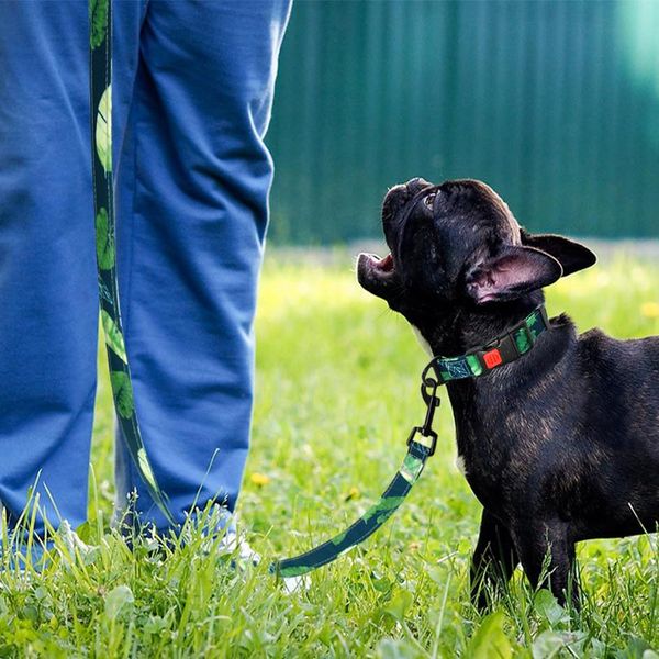 fashion dog collar pet puppy dog collar leash lead set printed collar dog walking leash for small medium dogs chihuahu wmtyjp
fashion dog collar pet puppy dog collar leash lead set printed collar dog walking leash for small medium dogs chihuahu wmtyjp