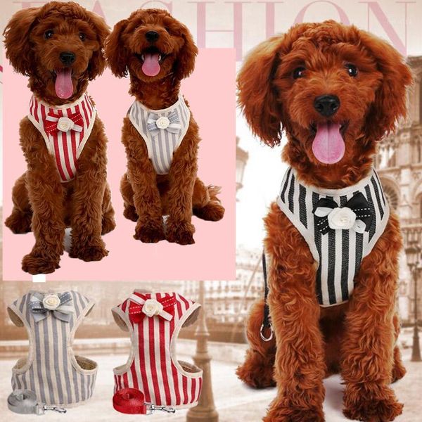 breathable small dog harness nylon pet puppy leash soft cat hanresses chihuahua yorkshire vest walking lead1
breathable small dog harness nylon pet puppy leash soft cat hanresses chihuahua yorkshire vest walking lead1