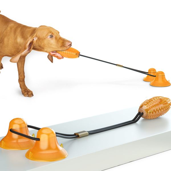 molar selling bite multifunction with pet suction cup pets ball toy for dogs & chews playing toys teeth cleaning
molar selling bite multifunction with pet suction cup pets ball toy for dogs & chews playing toys teeth cleaning