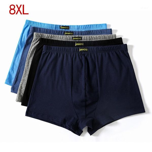 plus size 5xl 6xl 7xl 8xl large loose male cotton underwears boxers high waist breathable fat belts big yards men's underwear1, Black;white
plus size 5xl 6xl 7xl 8xl large loose male cotton underwears boxers high waist breathable fat belts big yards men's underwear1, Black;white