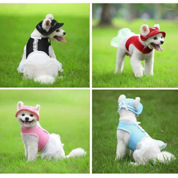 mesh dog clothes for small dogs puppy dog short skirt tutu dress pet vest harness dress pet accessories1
mesh dog clothes for small dogs puppy dog short skirt tutu dress pet vest harness dress pet accessories1