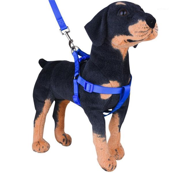 dog collars & leashes safety car seat belt adjustable harness leash pet products universal practical cat puppy seat-belt travel clip strap l
dog collars & leashes safety car seat belt adjustable harness leash pet products universal practical cat puppy seat-belt travel clip strap l