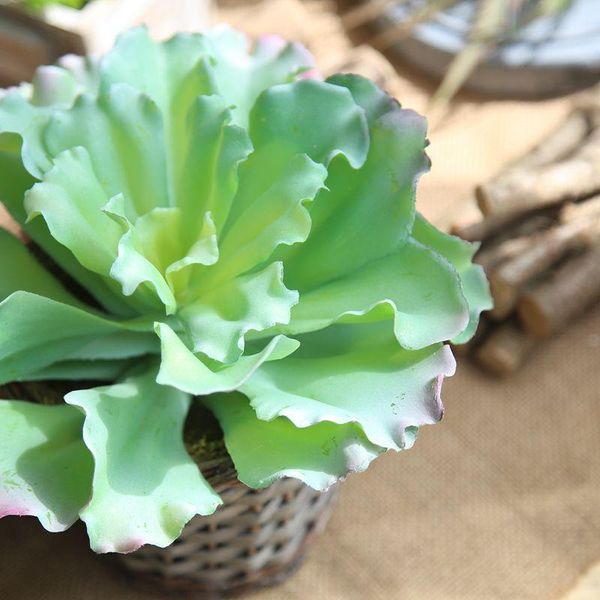1pc green artificial plastic mini succulent plant microlandscape flower arrangement garden wedding home table decoration bonsai
1pc green artificial plastic mini succulent plant microlandscape flower arrangement garden wedding home table decoration bonsai
