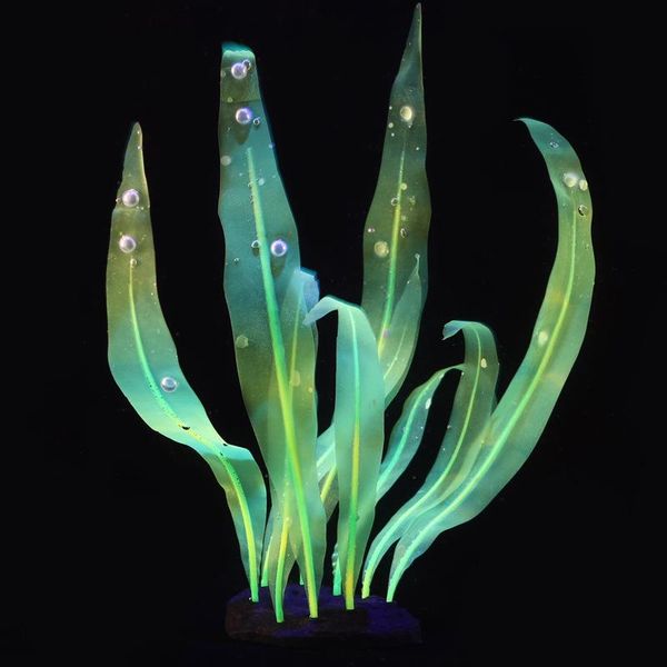 decorations nice colorful luminous fluorescent effect seagrass aquarium decoration bioluminescent shiny household fish water tank plants
decorations nice colorful luminous fluorescent effect seagrass aquarium decoration bioluminescent shiny household fish water tank plants