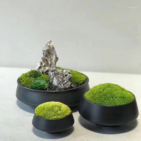 artificial green moss plant immortal fake flower moss grass stone home l office wall diy decorative flower1
artificial green moss plant immortal fake flower moss grass stone home l office wall diy decorative flower1