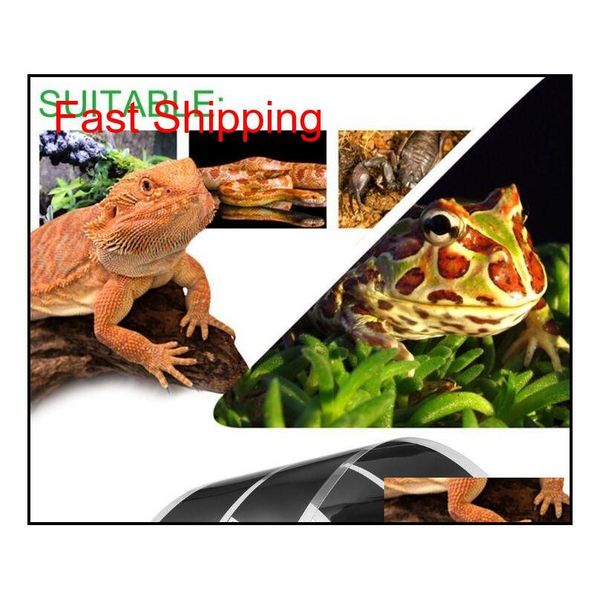 2019 new popular heat mat 15x28cm 7w reptile brooder incubator pet heating p qylzza packing2010
2019 new popular heat mat 15x28cm 7w reptile brooder incubator pet heating p qylzza packing2010