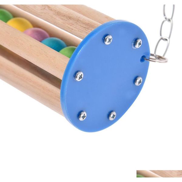 bird parrots pet toy parrot swing climbing pets parrot chew toy birds' acrylic toys standing su qylmmm bdesports
bird parrots pet toy parrot swing climbing pets parrot chew toy birds' acrylic toys standing su qylmmm bdesports