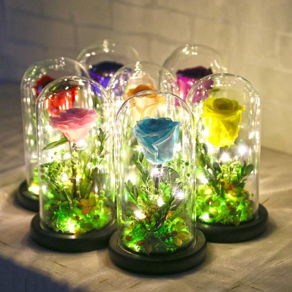 decorative flowers & wreaths eternal preserved fresh flower rose led light in a flask immortal for valentine's day mother's gifts
decorative flowers & wreaths eternal preserved fresh flower rose led light in a flask immortal for valentine's day mother's gifts