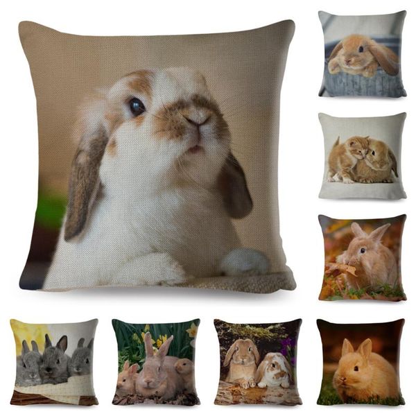 cushion cover pillowcase pillow covers for sofa car home decor pet animal pillow cover cotton linen 45x45 cm
cushion cover pillowcase pillow covers for sofa car home decor pet animal pillow cover cotton linen 45x45 cm