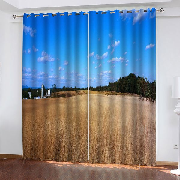 customized size luxury blackout 3d window curtains blue sky curtains 3d blackout curtains living room bedroom
customized size luxury blackout 3d window curtains blue sky curtains 3d blackout curtains living room bedroom