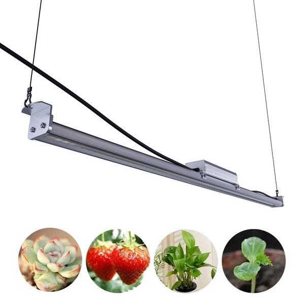 led plant growth lamp 50w single beam uv ir full spectrum samsung led growth lamp for growing hydroponic houseplants vegetables flowers dhl
led plant growth lamp 50w single beam uv ir full spectrum samsung led growth lamp for growing hydroponic houseplants vegetables flowers dhl