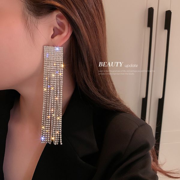 925 silver earrings stud rhinestone-encrusted tassel earrings european and american fashion eye-catching long personality trend net red wind
925 silver earrings stud rhinestone-encrusted tassel earrings european and american fashion eye-catching long personality trend net red wind