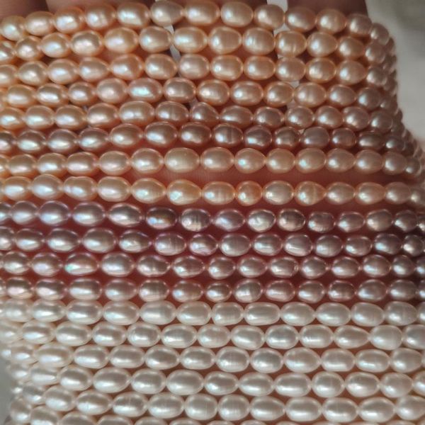 chokers 4-5mm rice shaped natural freshwater pearl grade classic choker necklace diy jewelry single strand for women 38cm, Golden;silver
chokers 4-5mm rice shaped natural freshwater pearl grade classic choker necklace diy jewelry single strand for women 38cm, Golden;silver