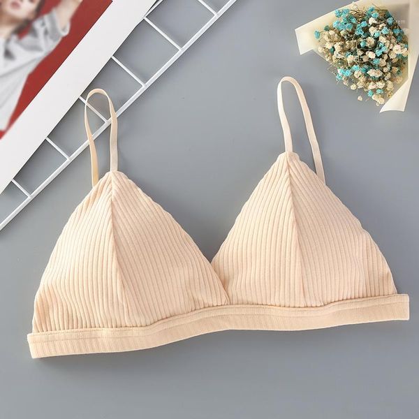 camisoles & tanks 2021 summer explosion french triangle cup thread cotton bra solid color v-neck ladies tube, Black;white
camisoles & tanks 2021 summer explosion french triangle cup thread cotton bra solid color v-neck ladies tube, Black;white