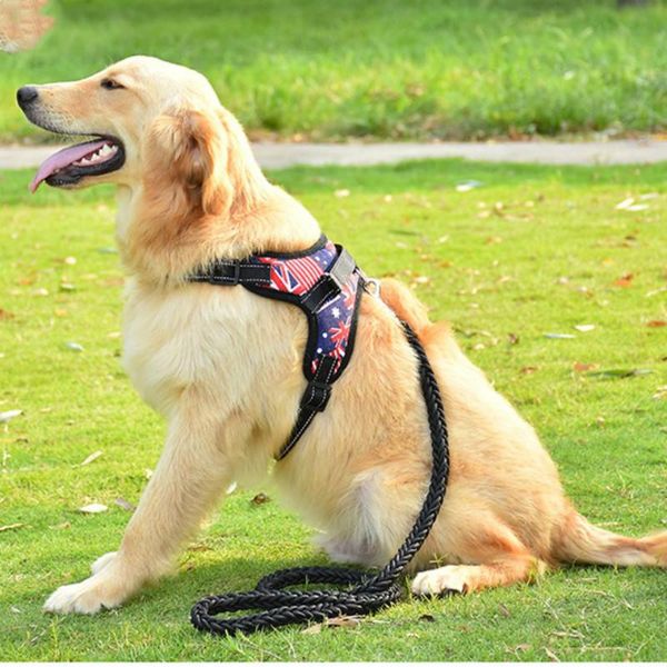 durable reflective pet dog harness adjustable dog collars walking harness for small medium large dogs
durable reflective pet dog harness adjustable dog collars walking harness for small medium large dogs