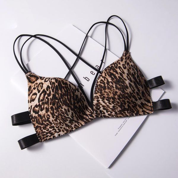 bras front buckle small underwear women wire push up bra comfort beautiful back breathable seamless leopard bralette ladies, Red;black
bras front buckle small underwear women wire push up bra comfort beautiful back breathable seamless leopard bralette ladies, Red;black