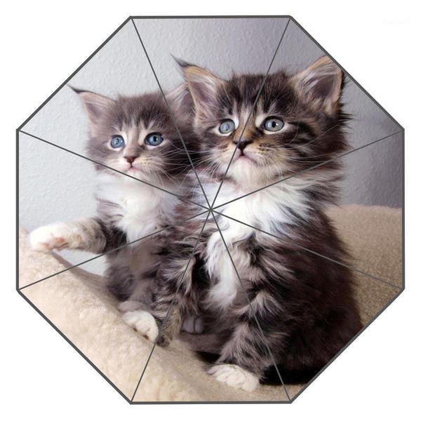 nice lovely cat custom sunny and rainy umbrella design portable fashion stylish useful umbrella gift for you1
nice lovely cat custom sunny and rainy umbrella design portable fashion stylish useful umbrella gift for you1