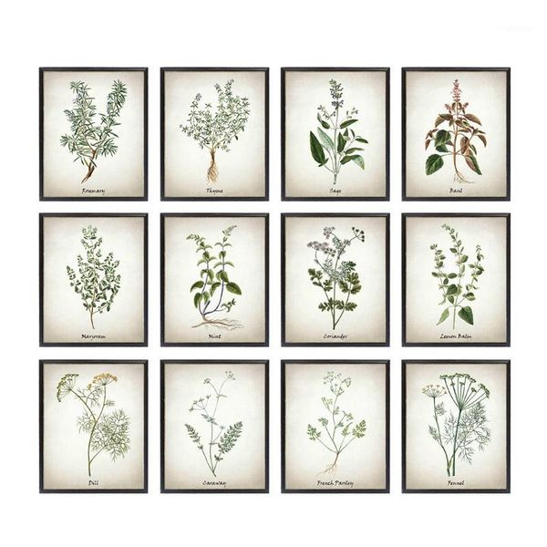 paintings canvas art painting vintage illustrations posters and prints culinary s botanical kitchen wall picture decor1
paintings canvas art painting vintage illustrations posters and prints culinary s botanical kitchen wall picture decor1