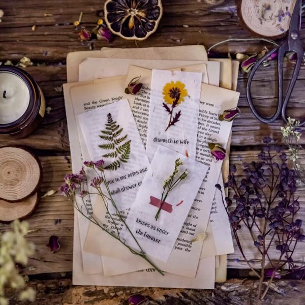 8 дизайн блокноты sticky notes завод цветы ретро дикий бумажный журнал скрапбукинг наклейки офис школа канцелярские ручки лабе jlldhu
8 дизайн блокноты sticky notes завод цветы ретро дикий бумажный журнал скрапбукинг наклейки офис школа канцелярские ручки лабе jlldhu