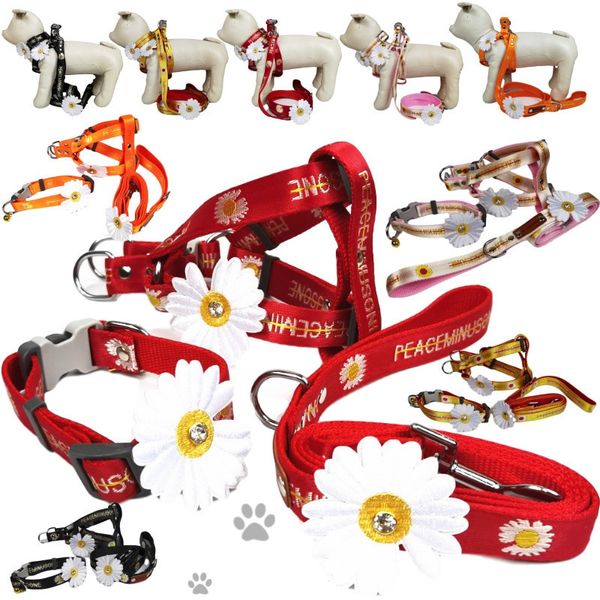 daisy dog harnesses collars leashes cat pet must collars outdoor walk travel must eco-friendly leashes ing
daisy dog harnesses collars leashes cat pet must collars outdoor walk travel must eco-friendly leashes ing
