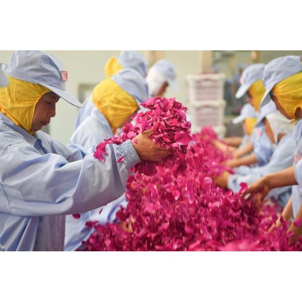 100% новый натуральный ароматизатор высушенные лепестки роз свадьба и партийный стол конфетти украшения биоразлагаемые роза wmtotr
100% новый натуральный ароматизатор высушенные лепестки роз свадьба и партийный стол конфетти украшения биоразлагаемые роза wmtotr