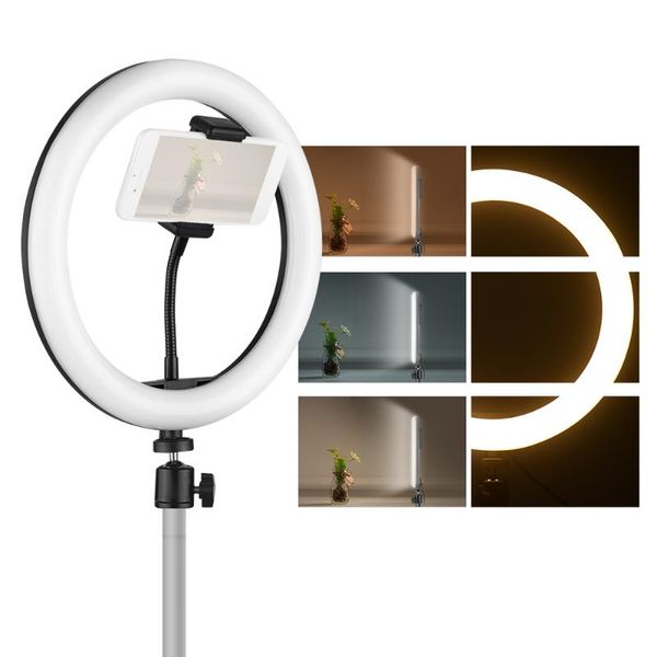 3 lighting modes dimmable usb powered 10 inch deskled video selfie ring light p lamp with phone holder ballhead adapter
3 lighting modes dimmable usb powered 10 inch deskled video selfie ring light p lamp with phone holder ballhead adapter