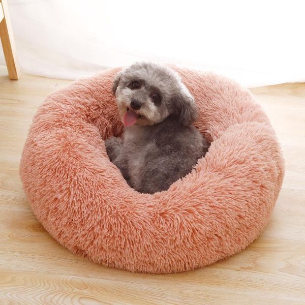 cat beds & furniture bed house soft sleeping puppy kitten comfortable mat dog cave multi-color optional cats mats litter pet supplies
cat beds & furniture bed house soft sleeping puppy kitten comfortable mat dog cave multi-color optional cats mats litter pet supplies