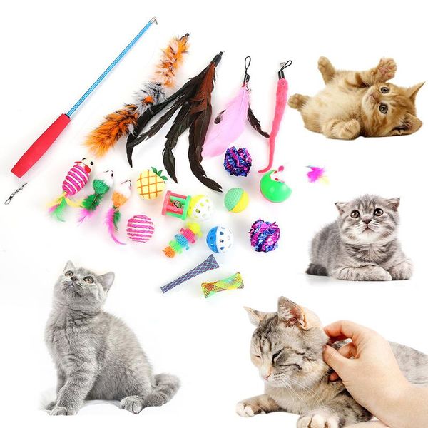 cat toys 1 set smart interactive ball dog training toy stick feather fishing rod combination pet squeaky suppiy
cat toys 1 set smart interactive ball dog training toy stick feather fishing rod combination pet squeaky suppiy