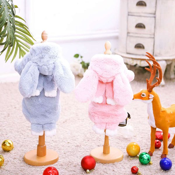 new teddy vip dog clothing 1129
new teddy vip dog clothing 1129