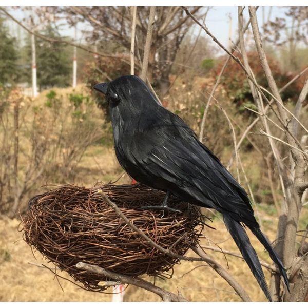 halloween lawn vivid feathered bird realistic garden hunting simulated animal easter decorative ornament halloween lawn h wmtcpy
halloween lawn vivid feathered bird realistic garden hunting simulated animal easter decorative ornament halloween lawn h wmtcpy
