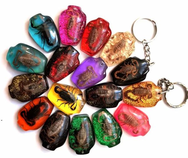 100 pcs real gold black scorpion keychain jewelry real insect fashion key ring, Slivery;golden
100 pcs real gold black scorpion keychain jewelry real insect fashion key ring, Slivery;golden