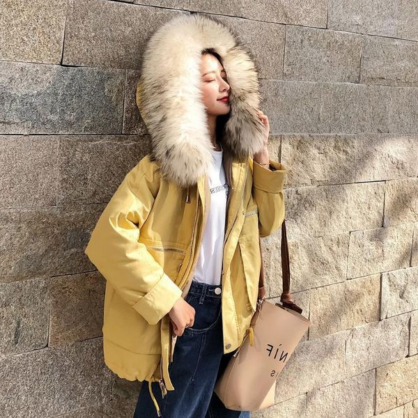 women's down & parkas 90% duck down, women's hooded parka, winter coat, women long coat with raccoon fur collar, korean abrigo muj, Black
women's down & parkas 90% duck down, women's hooded parka, winter coat, women long coat with raccoon fur collar, korean abrigo muj, Black