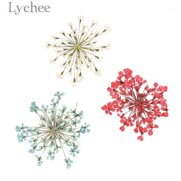 lychee natural white lace flower pressed dried flowers for jewelry making diy handmade ornament supplies1
lychee natural white lace flower pressed dried flowers for jewelry making diy handmade ornament supplies1