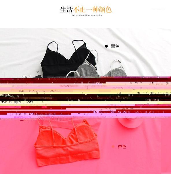 2019 early spring new buckle no steel ring girl bra gathered beauty back wrapped chest underwear1, Black;white
2019 early spring new buckle no steel ring girl bra gathered beauty back wrapped chest underwear1, Black;white