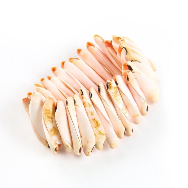 natural cowry bracelet jewelry sea shell bracelets for women jewelry gifts conch charm bangles bohemian summer beach jewelry h bbyydb
natural cowry bracelet jewelry sea shell bracelets for women jewelry gifts conch charm bangles bohemian summer beach jewelry h bbyydb