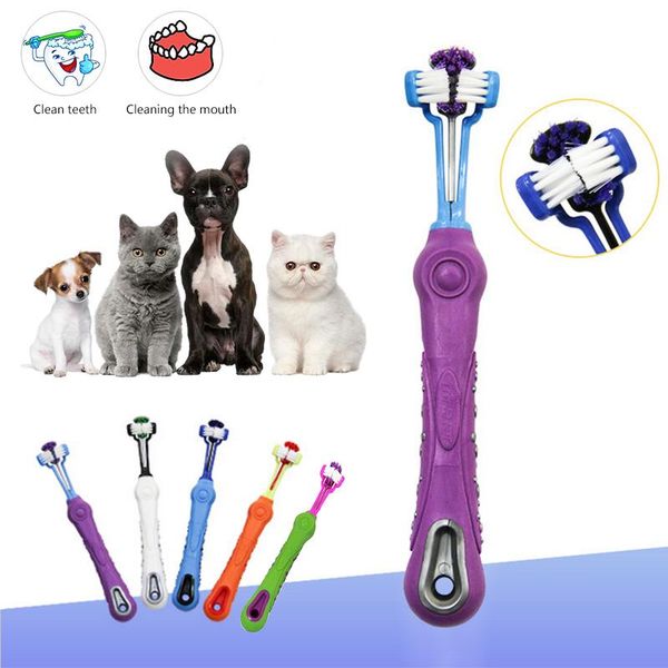 pet toothbrush dog brush bad breath tartar teeth care tool dog cat cleaning mouth non-slip handle perfect teeth care products 30 jlltya
pet toothbrush dog brush bad breath tartar teeth care tool dog cat cleaning mouth non-slip handle perfect teeth care products 30 jlltya