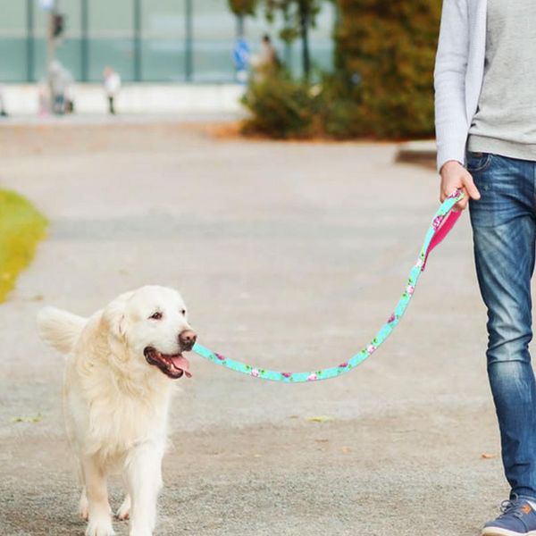 6 colors dog leash lead nylon printed pet puppy walking leash mesh padded running training leashes rope for small med bbyvto
6 colors dog leash lead nylon printed pet puppy walking leash mesh padded running training leashes rope for small med bbyvto