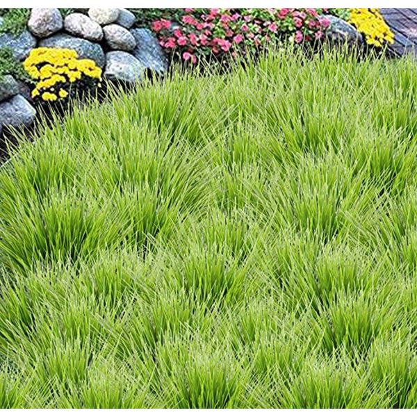 artificial outdoor plants fake plastic greenery shrubs wheat grass bushes flowers filler outside home garden office decoration f jllppq
artificial outdoor plants fake plastic greenery shrubs wheat grass bushes flowers filler outside home garden office decoration f jllppq