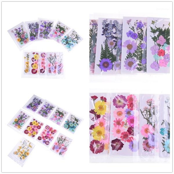 decorative flowers & wreaths multiple beautiful real pressed flower dried for art craft scrapbooking resin jewelry making phone case1
decorative flowers & wreaths multiple beautiful real pressed flower dried for art craft scrapbooking resin jewelry making phone case1