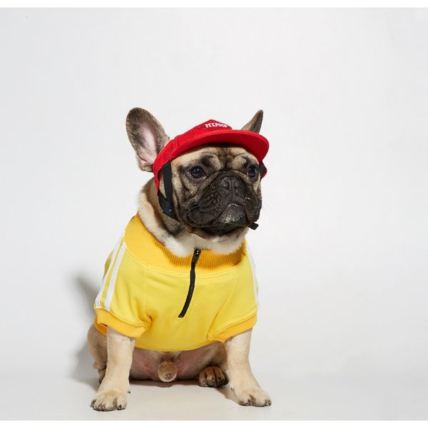 корги шнауцеры pet fashion dog dog hoodie spoof осень и зима спорт собак одежда bbywfc sweet07
корги шнауцеры pet fashion dog dog hoodie spoof осень и зима спорт собак одежда bbywfc sweet07