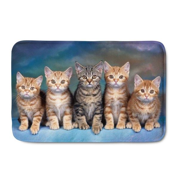 cushion/decorative pillow printing cute cat front door mat nonslip home entrance floor doormats flannel outdoor kitchen living room area rug
cushion/decorative pillow printing cute cat front door mat nonslip home entrance floor doormats flannel outdoor kitchen living room area rug