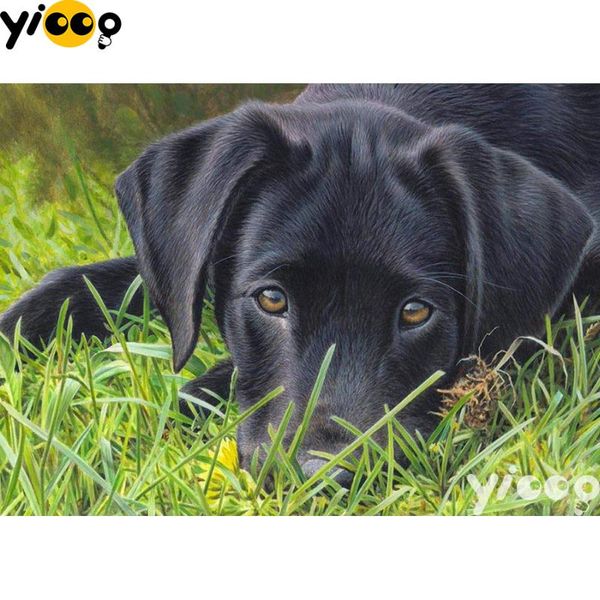 full square/round drill diamond painting black labrador 5d diy diamond embroidery mosaic decoration painting bx0782
full square/round drill diamond painting black labrador 5d diy diamond embroidery mosaic decoration painting bx0782