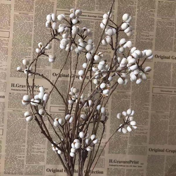20~40cm/60~70g decorative real dried mini fruit,natural white fruits branch flowers bouquet for home decor,wedding decorations
20~40cm/60~70g decorative real dried mini fruit,natural white fruits branch flowers bouquet for home decor,wedding decorations